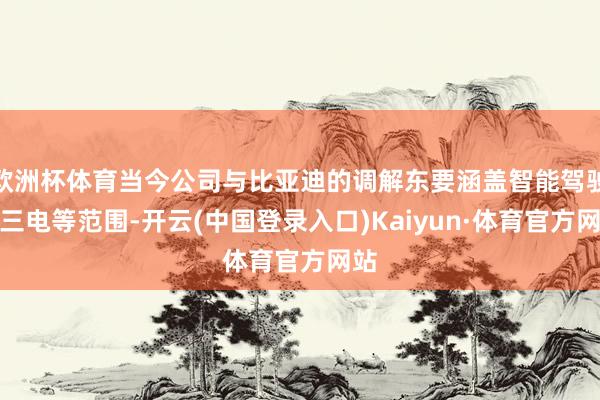 欧洲杯体育当今公司与比亚迪的调解东要涵盖智能驾驶、三电等范围-开云(中国登录入口)Kaiyun·体育官方网站